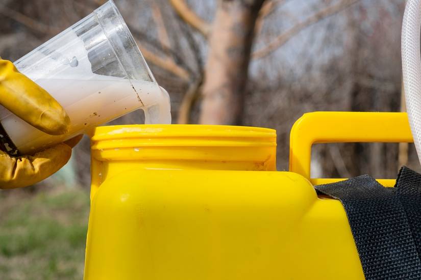 How to Prevent Snow Mold in Your Lawn