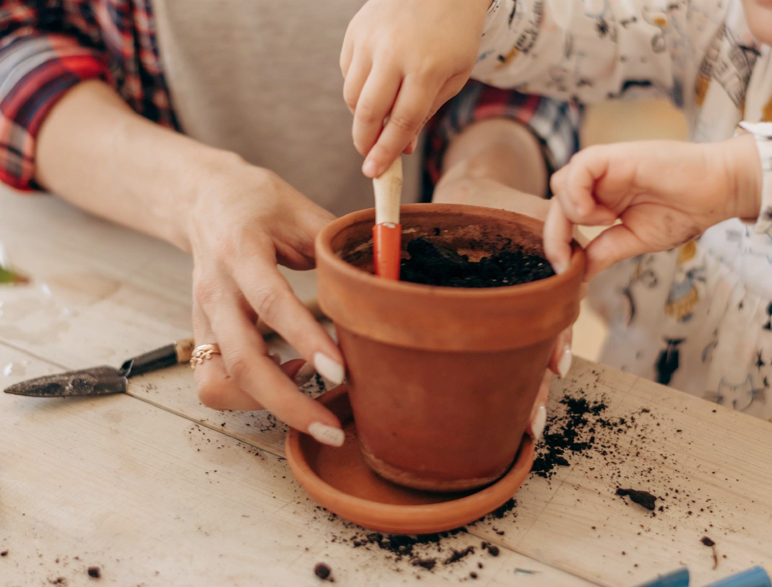 How to Clean Terracotta Pots