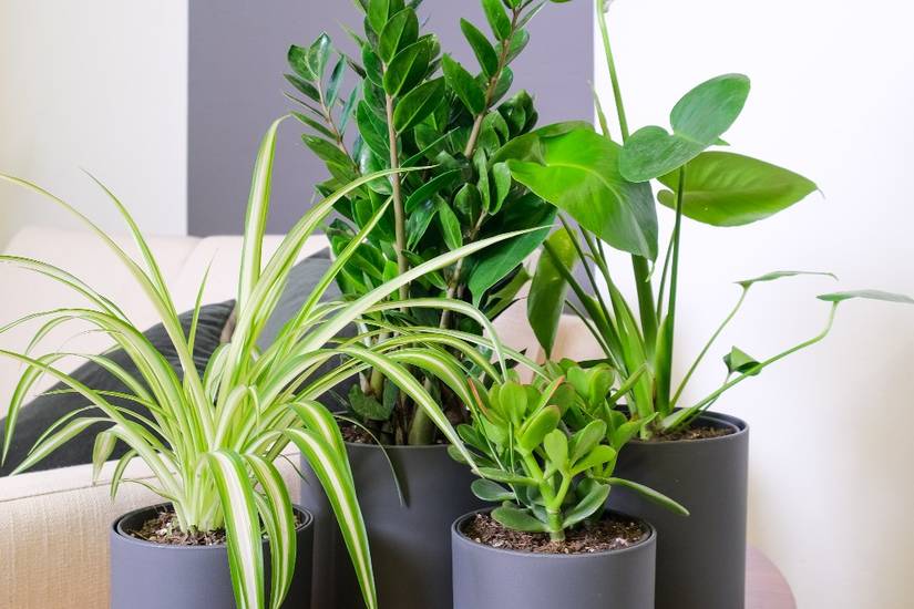 plant stand pots Tuscan Plant Stand main image 0