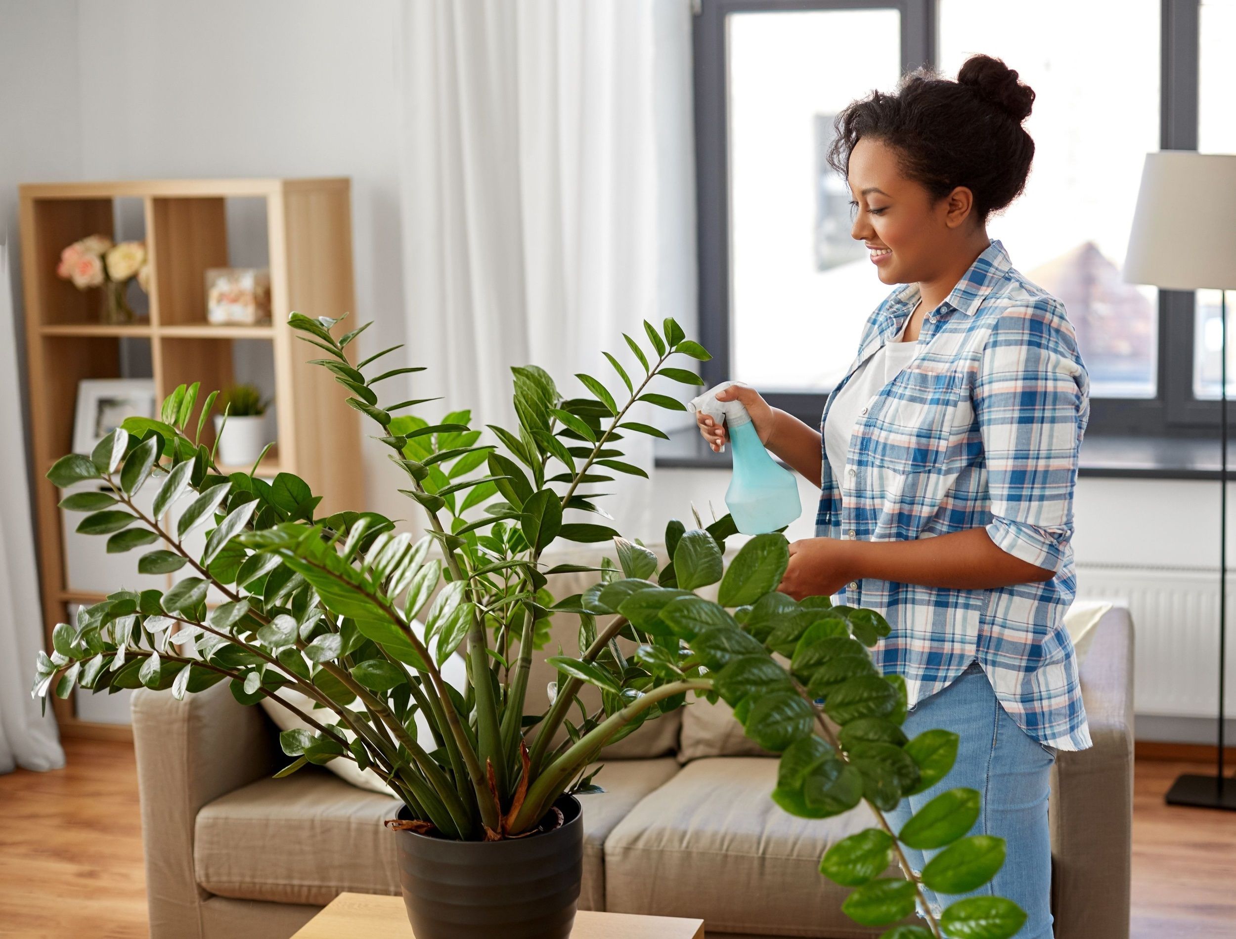 zz.jpg?w=1200&h=628&fit=crop