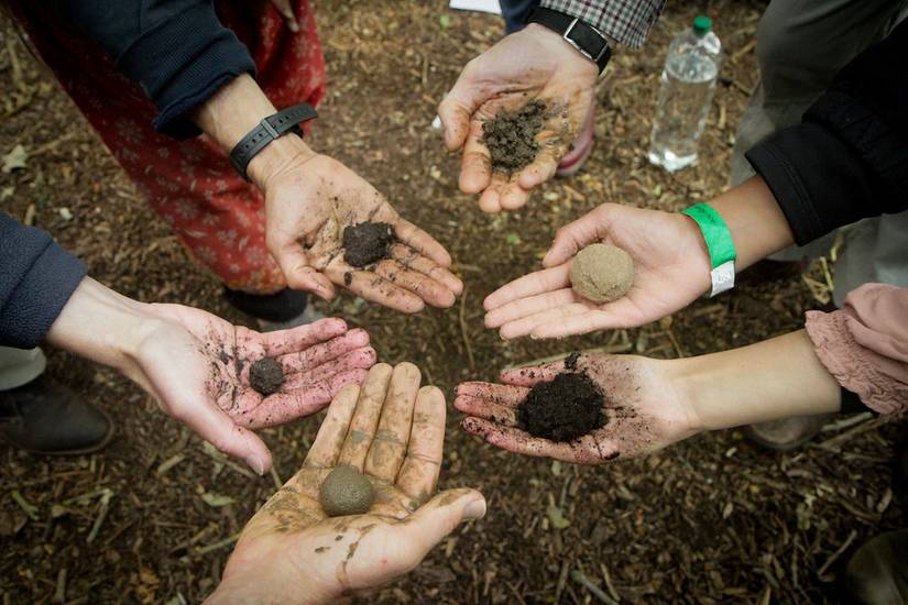How To Measure Soil Moisture