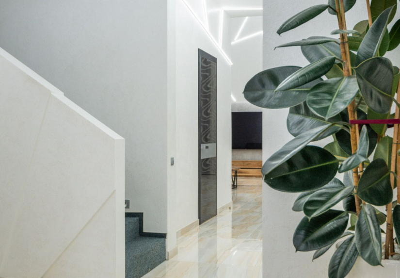 7 Tall Indoor Plants That Add Interest To Your Home