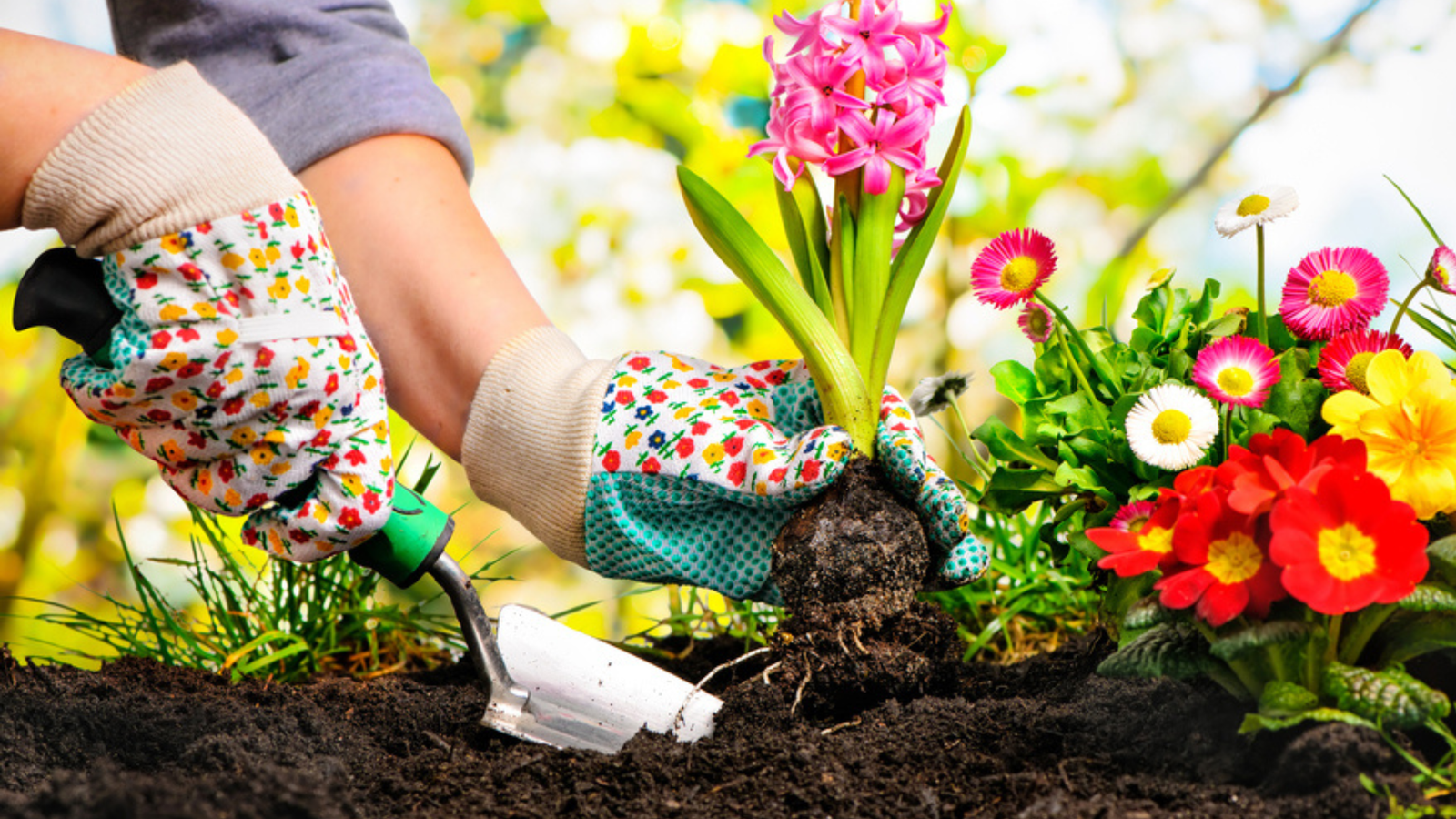 How To Create Your Own Cutting Flower Garden