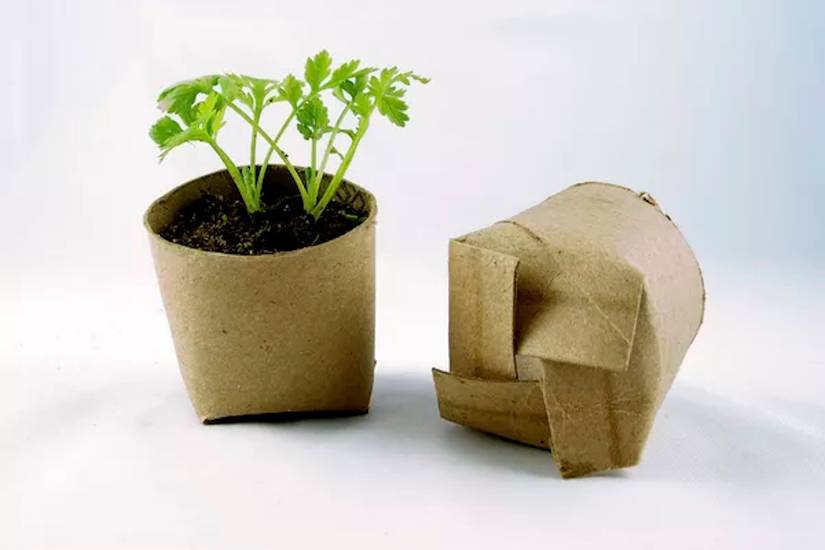 transparent plant pot russell+hazel Acrylic Planter - Clear