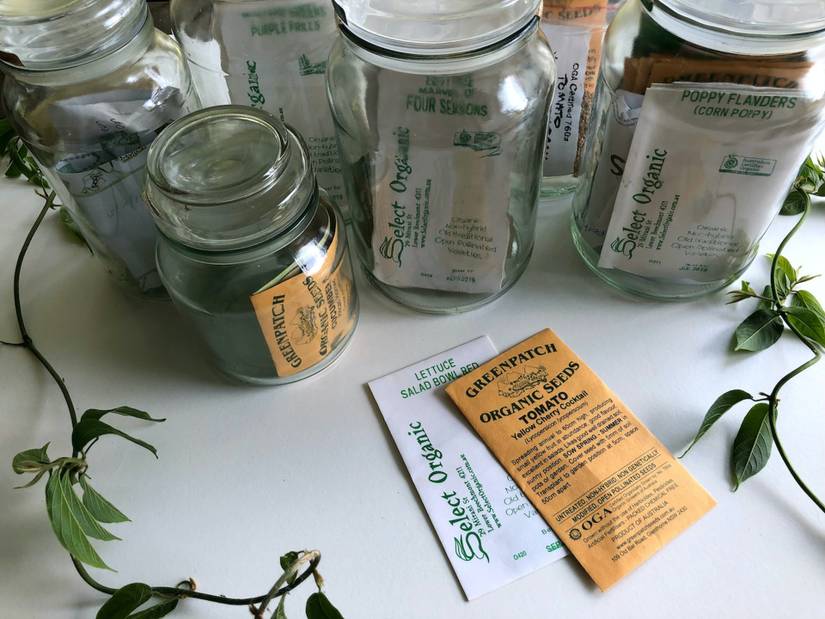How to Properly Plant Seeds