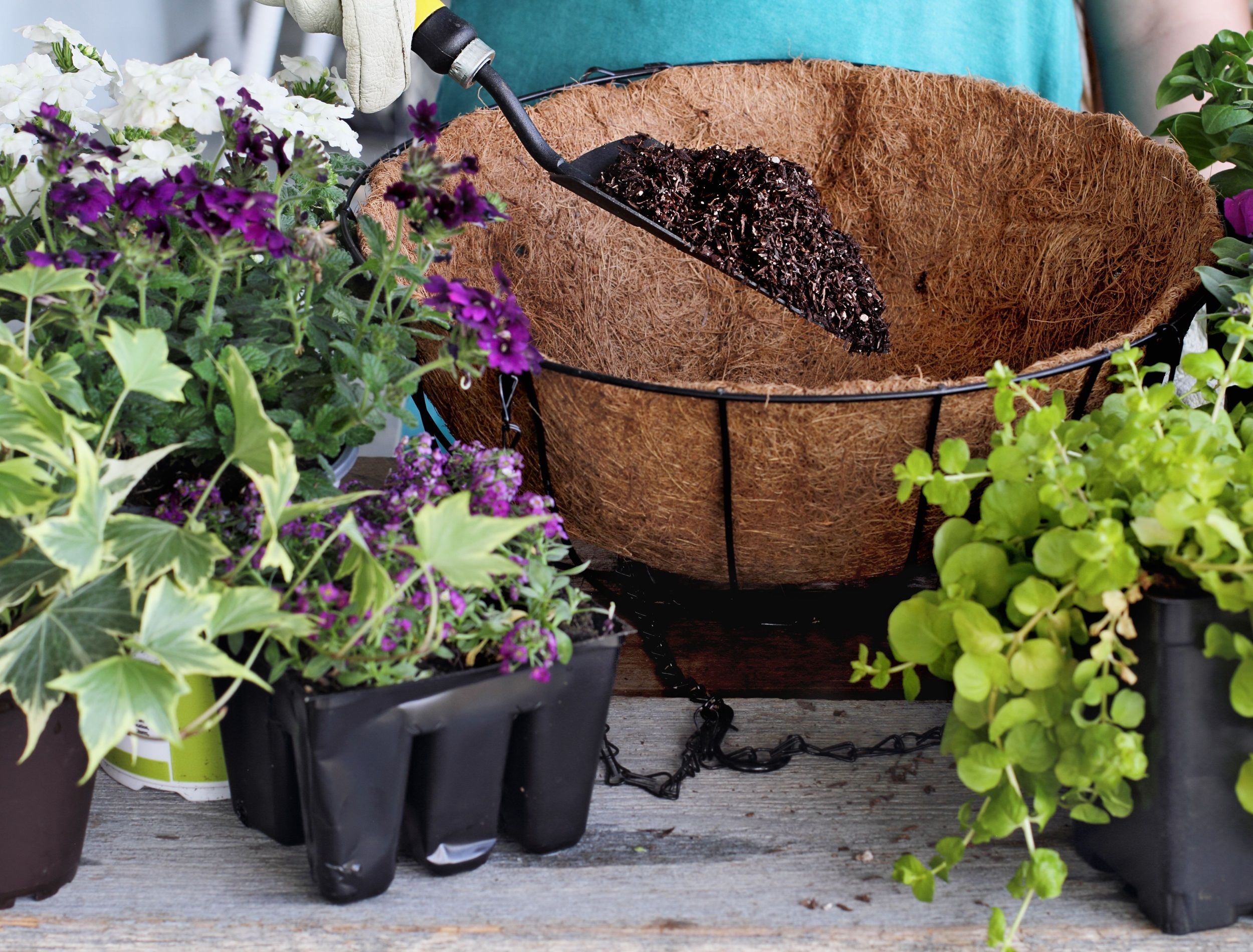 Hanging Baskets Are a Fun Winter DIY Project to Try