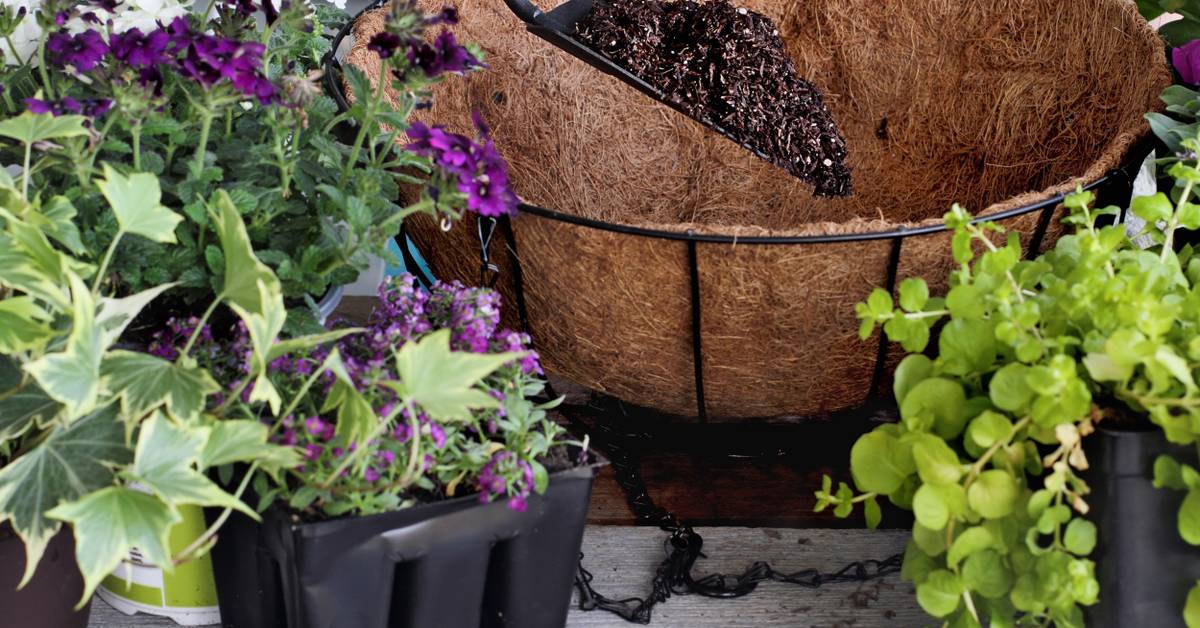 Hanging Baskets Are a Fun Winter DIY Project to Try