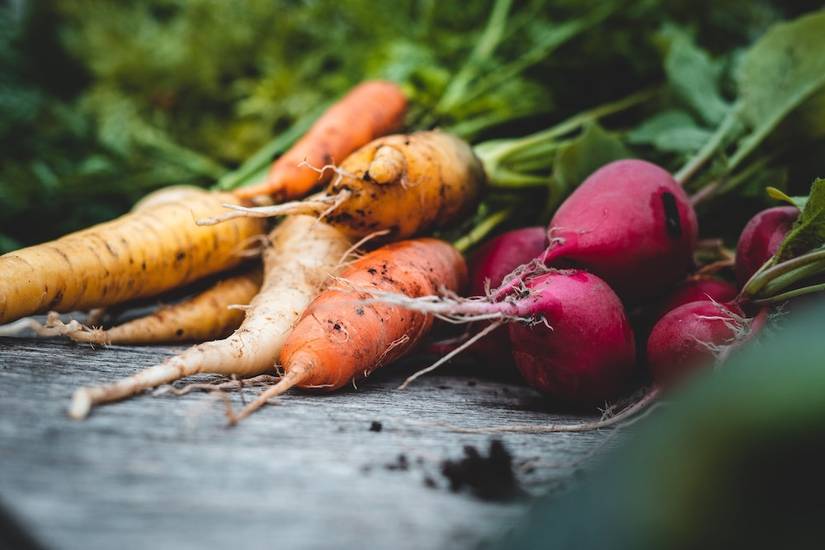 Veg With Roots How To Grow Root Vegetables in Your Garden