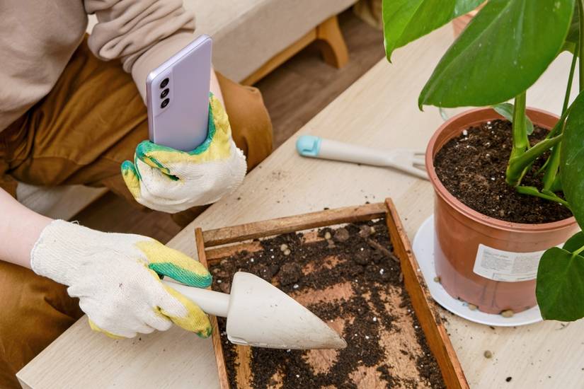 best potting mix for african violets African Violet Potting Soil – Midwest Hearth