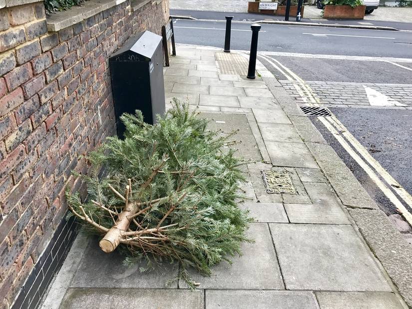 7 Ways to Dispose of Your Christmas Tree