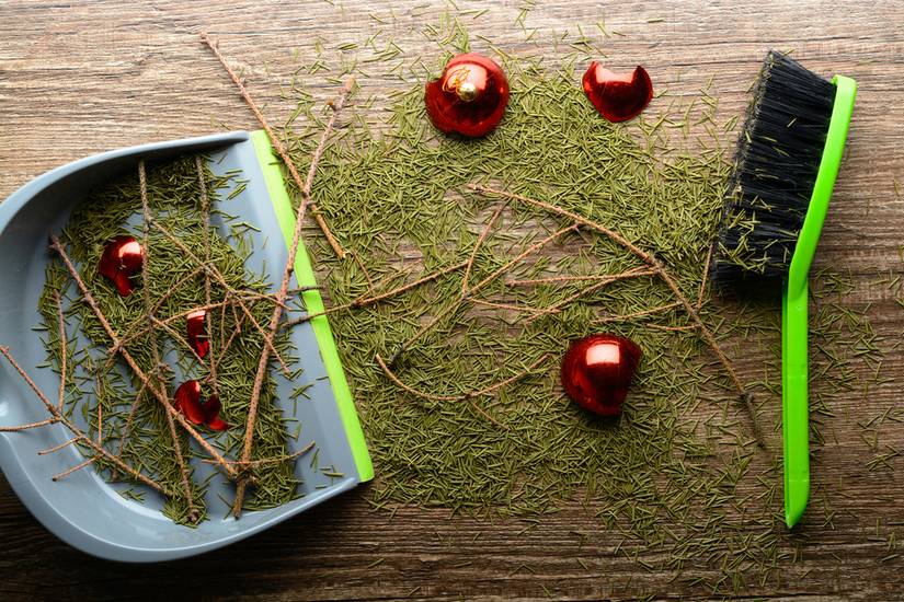 How To Revive a Dying Potted Christmas Tree