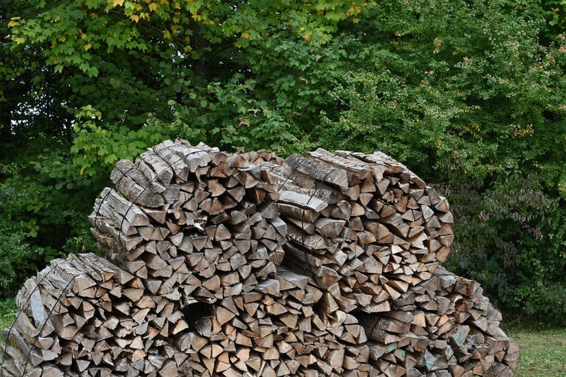 5 Ways to Store Your Firewood
