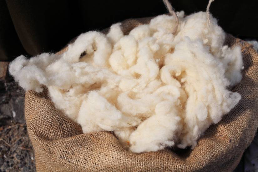5 Reasons to Use Wool in Your Garden