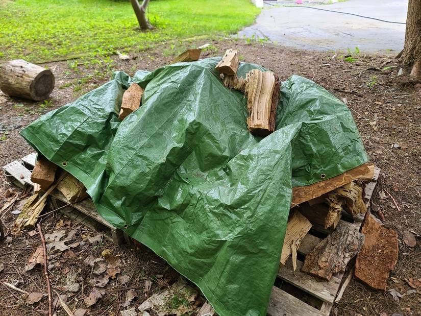 Is Moldy Firewood Safe to Burn?