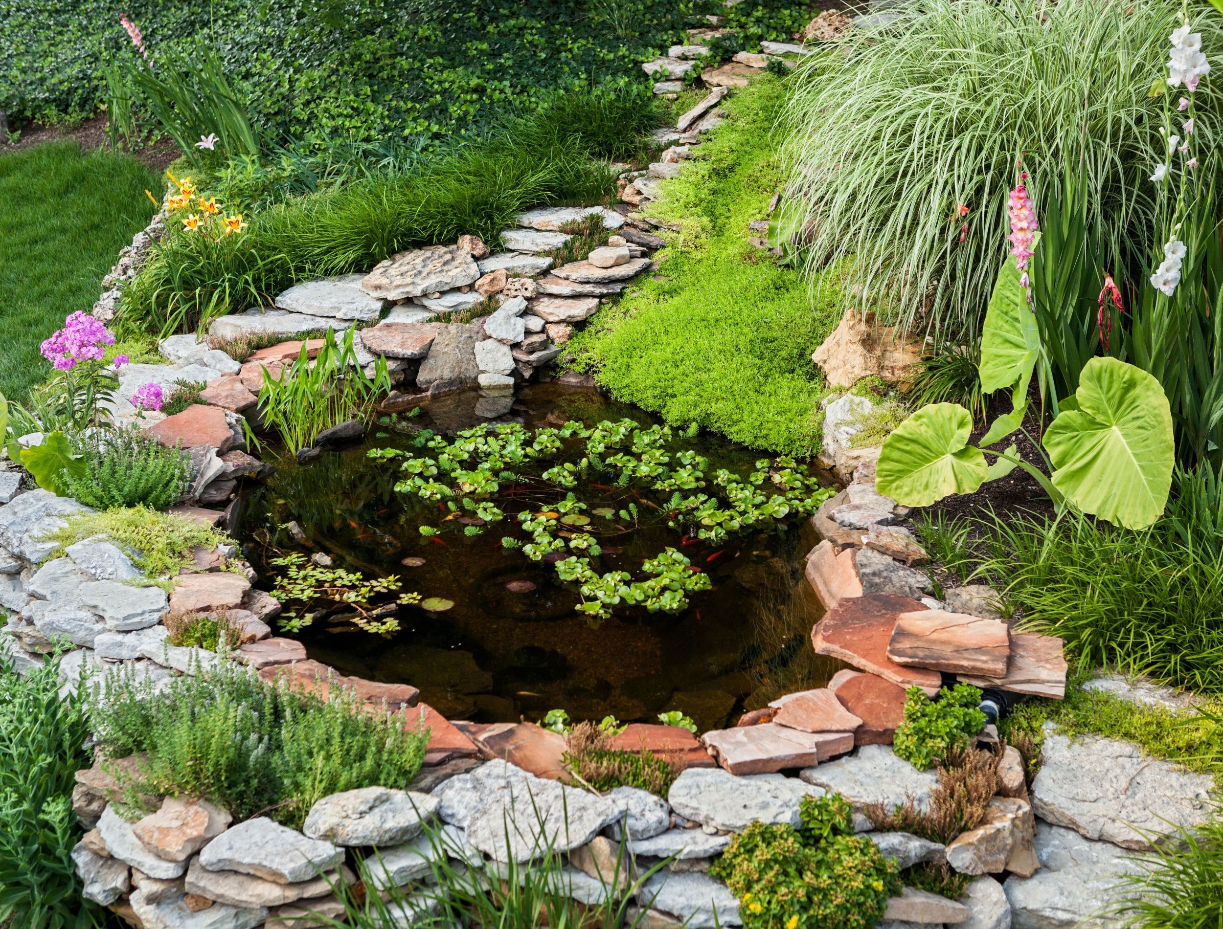 7 Amazing Garden Pond Ideas To Add To Your Landscape, image size:2500x1900