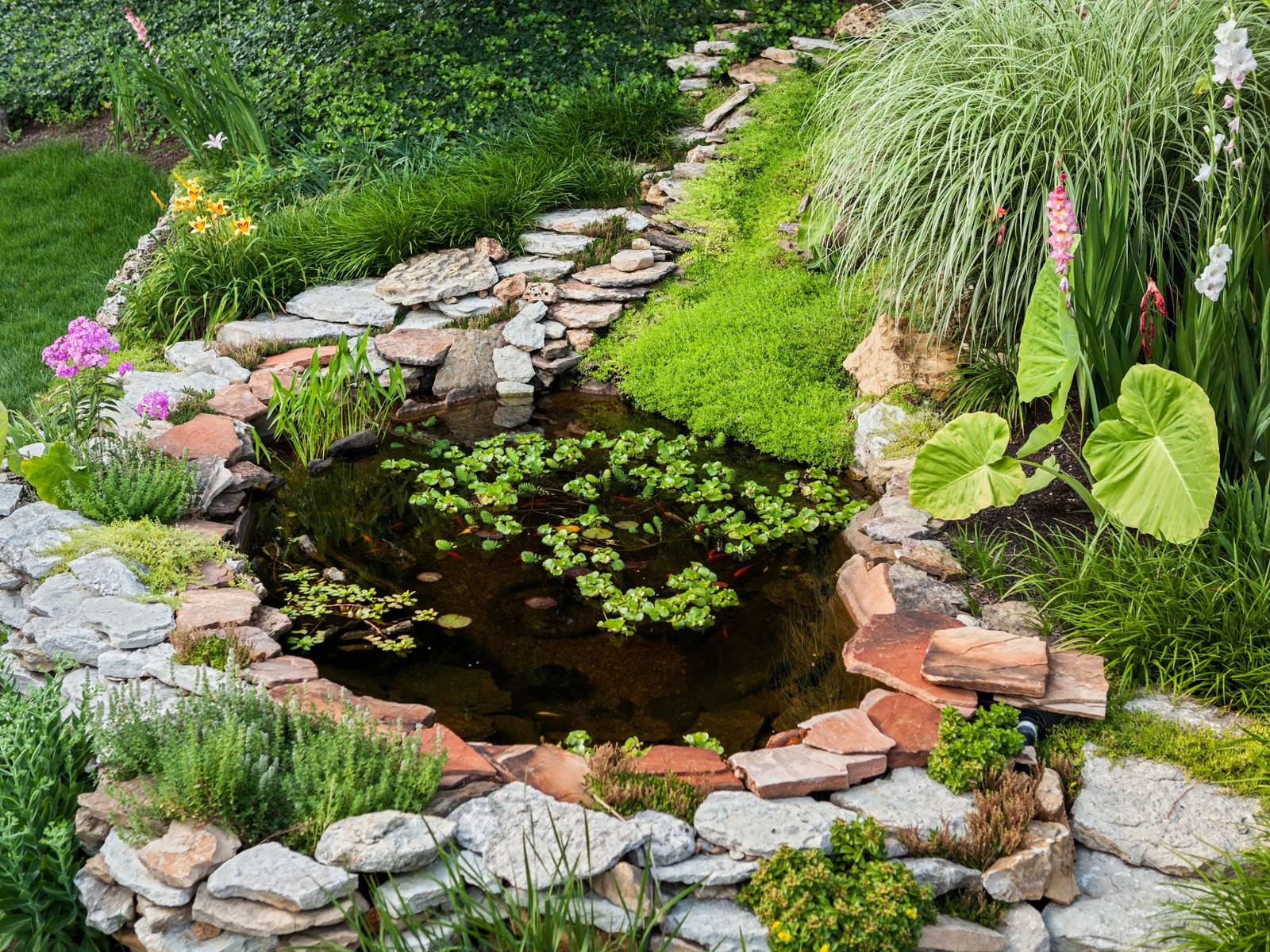 7 Amazing Garden Pond Ideas To Add To Your Landscape
