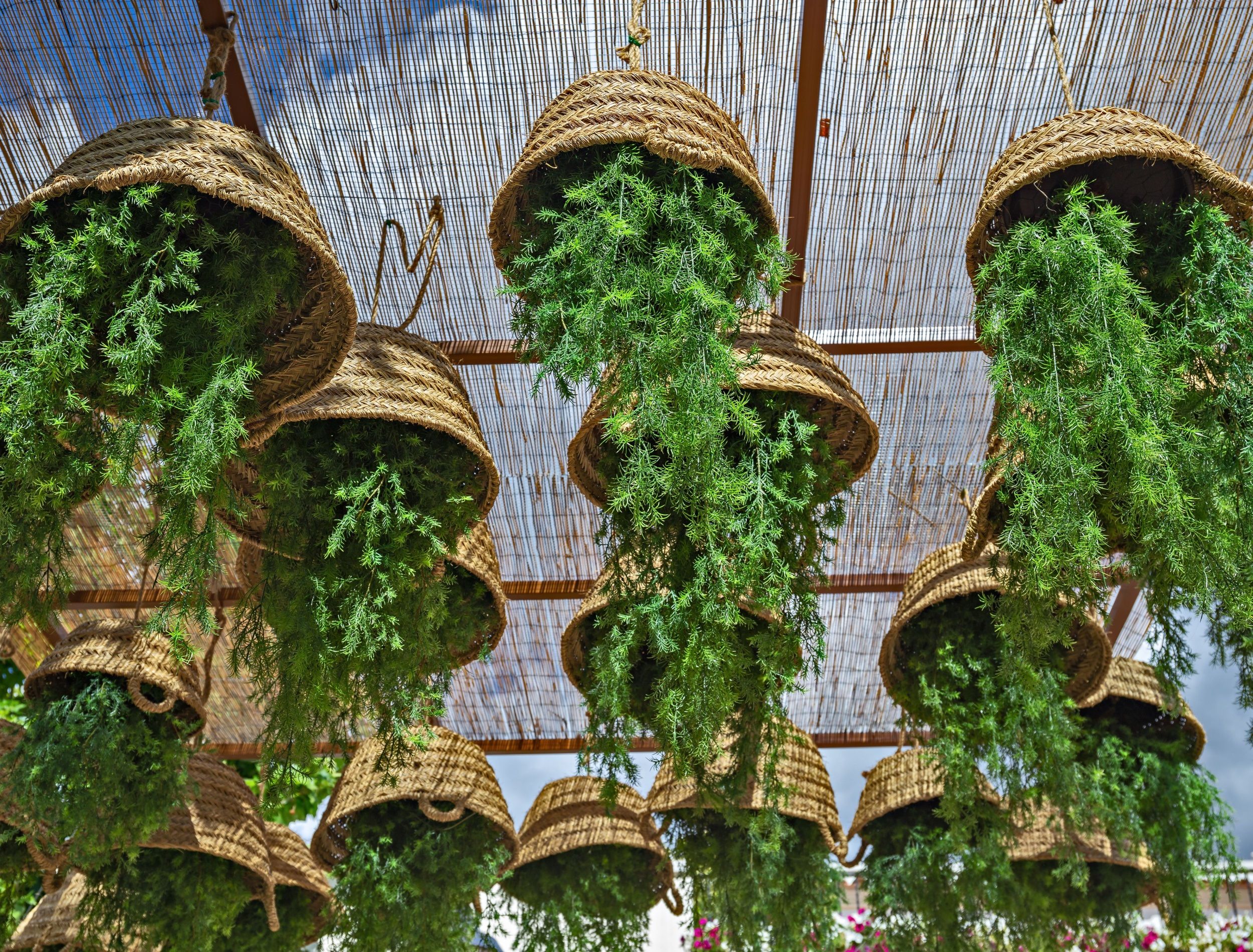 5 DIY Upside Down Planter Ideas