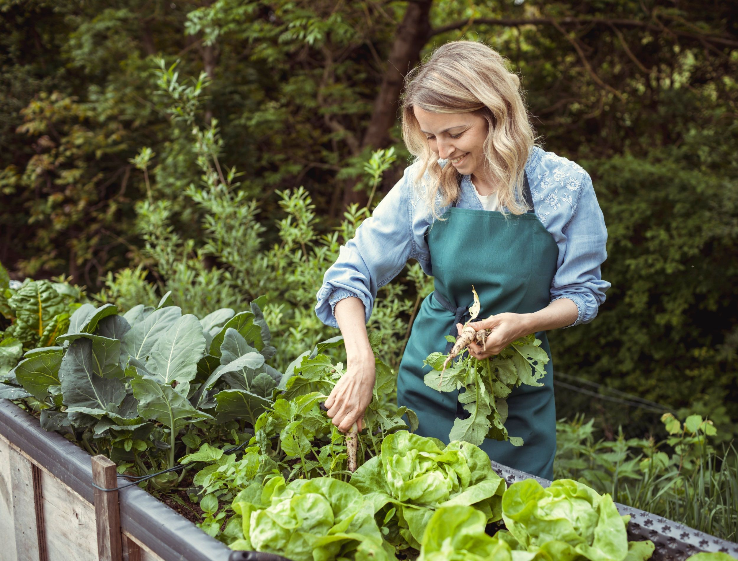 The Green Sushi Lie: Why That Wasabi Is Actually Horseradish