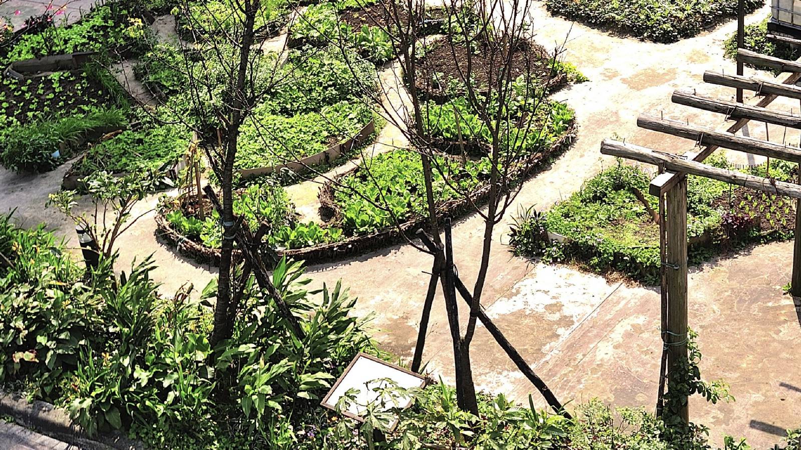 5 Benefits of Keyhole Gardening
