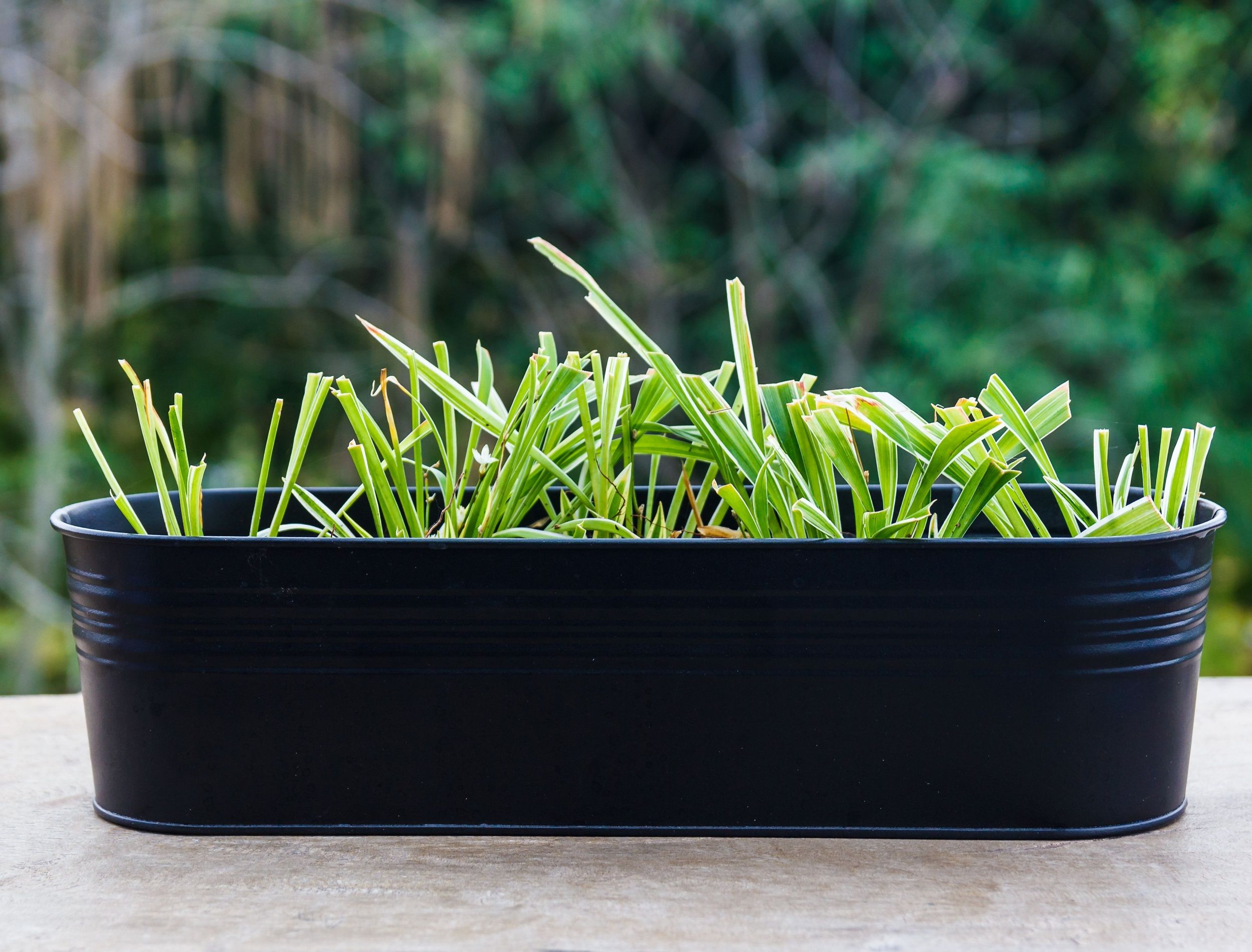 brass planter pot Handcrafted Brass Planters & Flower Pots Small main image 0