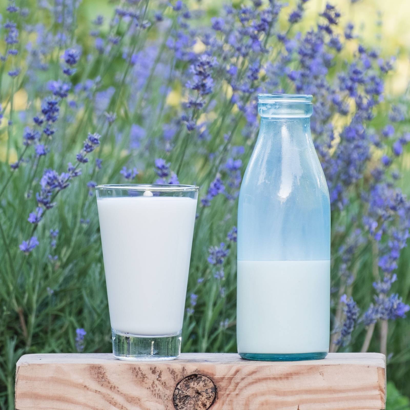 3 Surprising Ways to Use Milk for Your Plants