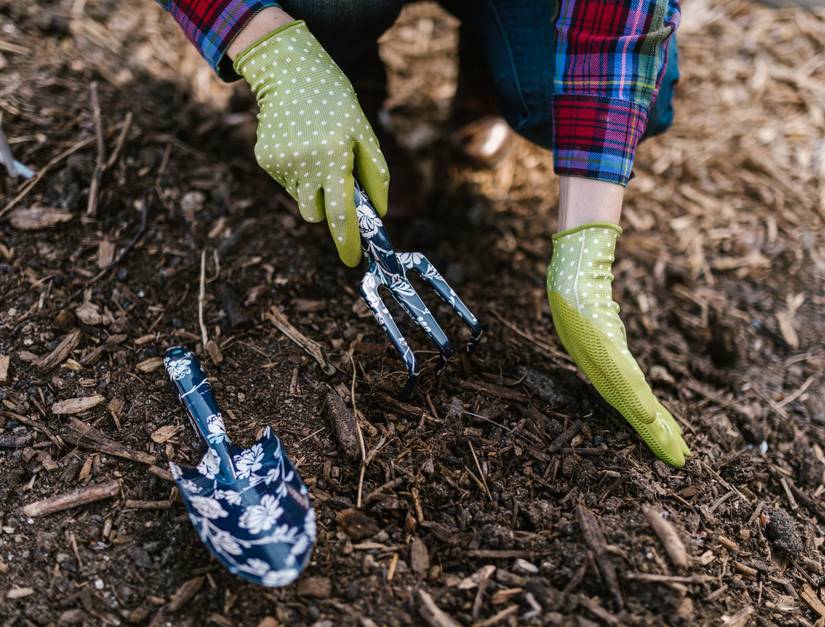 growtrax seeded wildflower blanket Annual & Perennial Wildflower Meadow  GrowTrax Grass