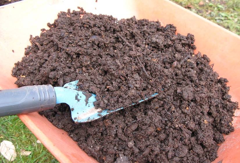 6 Composting Problems and How to Fix Them