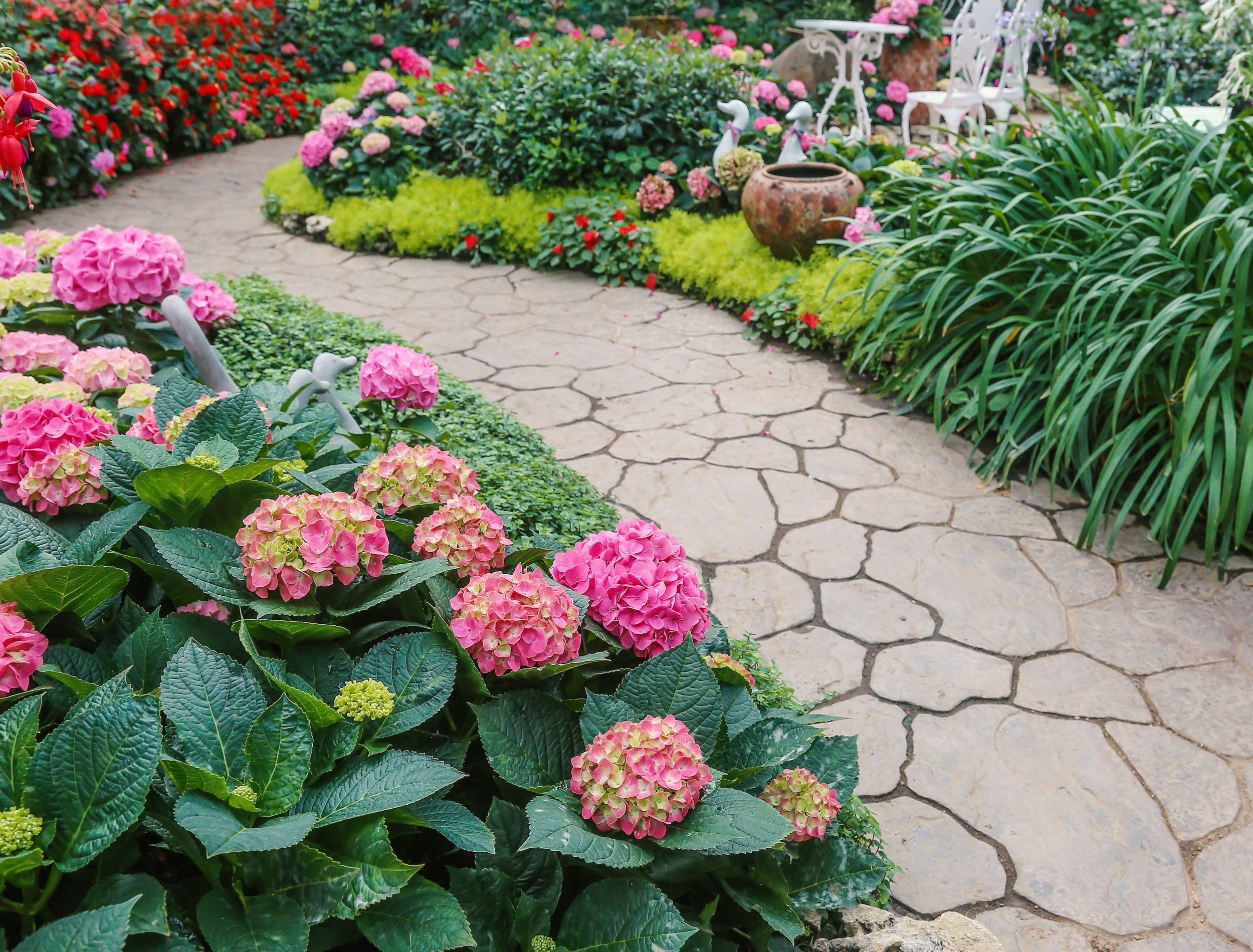 Landscaped garden path lined with plants and flowers