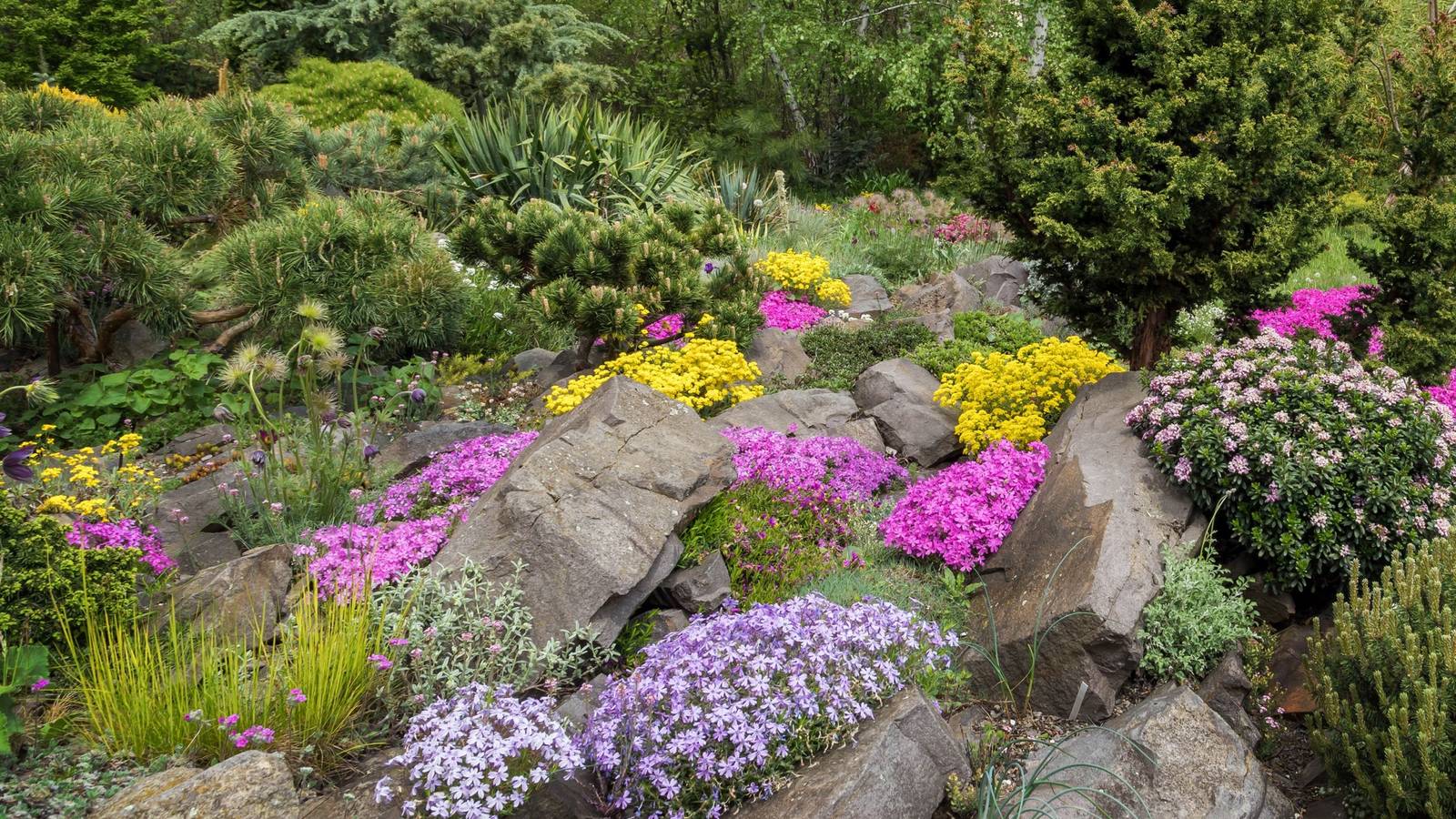 7 Tips for Choosing the Best Landscaping Rocks