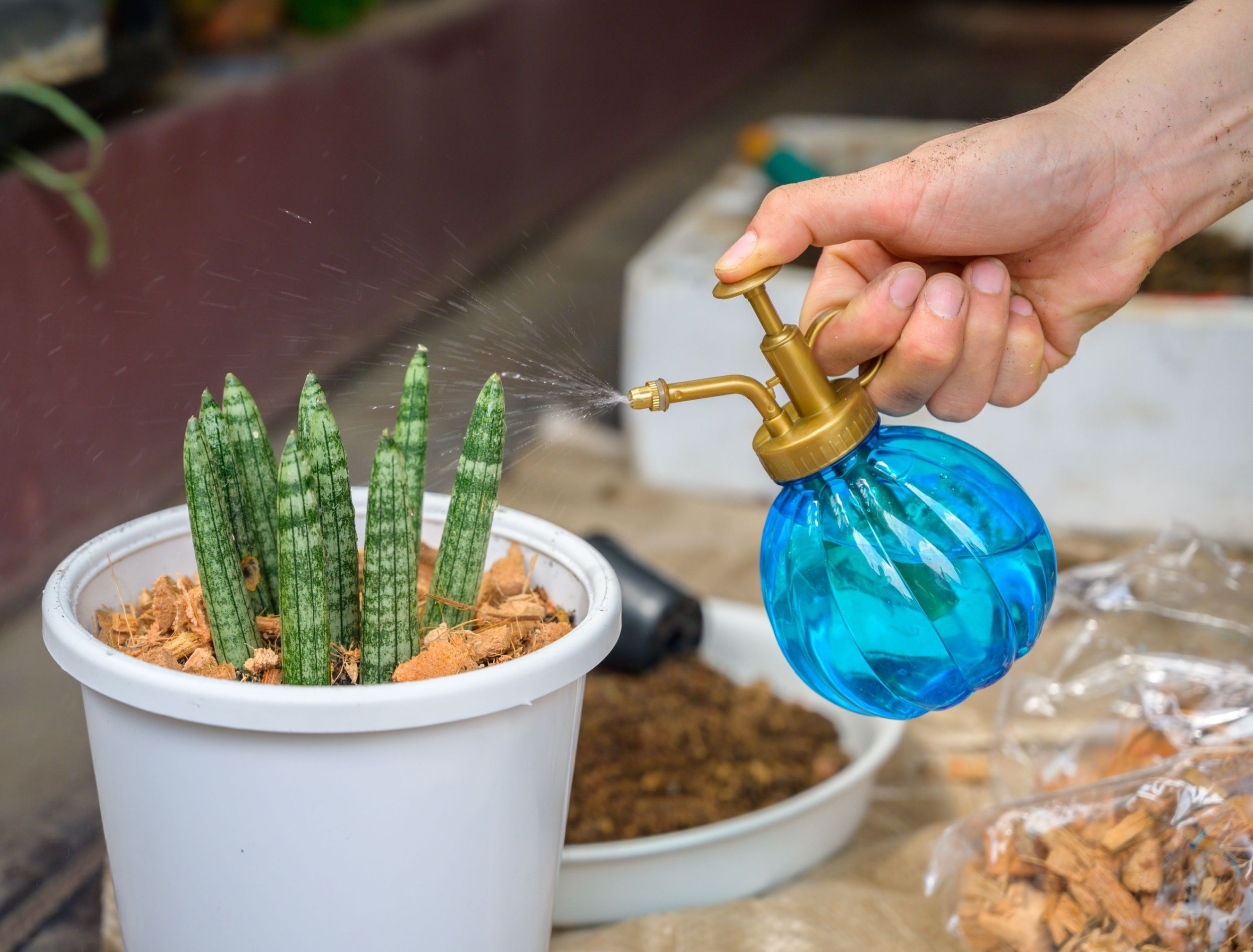 ceramic succulent pot ARTKETTY Succulent Pots, Ceramic Succulent Planters Pots with Drainag