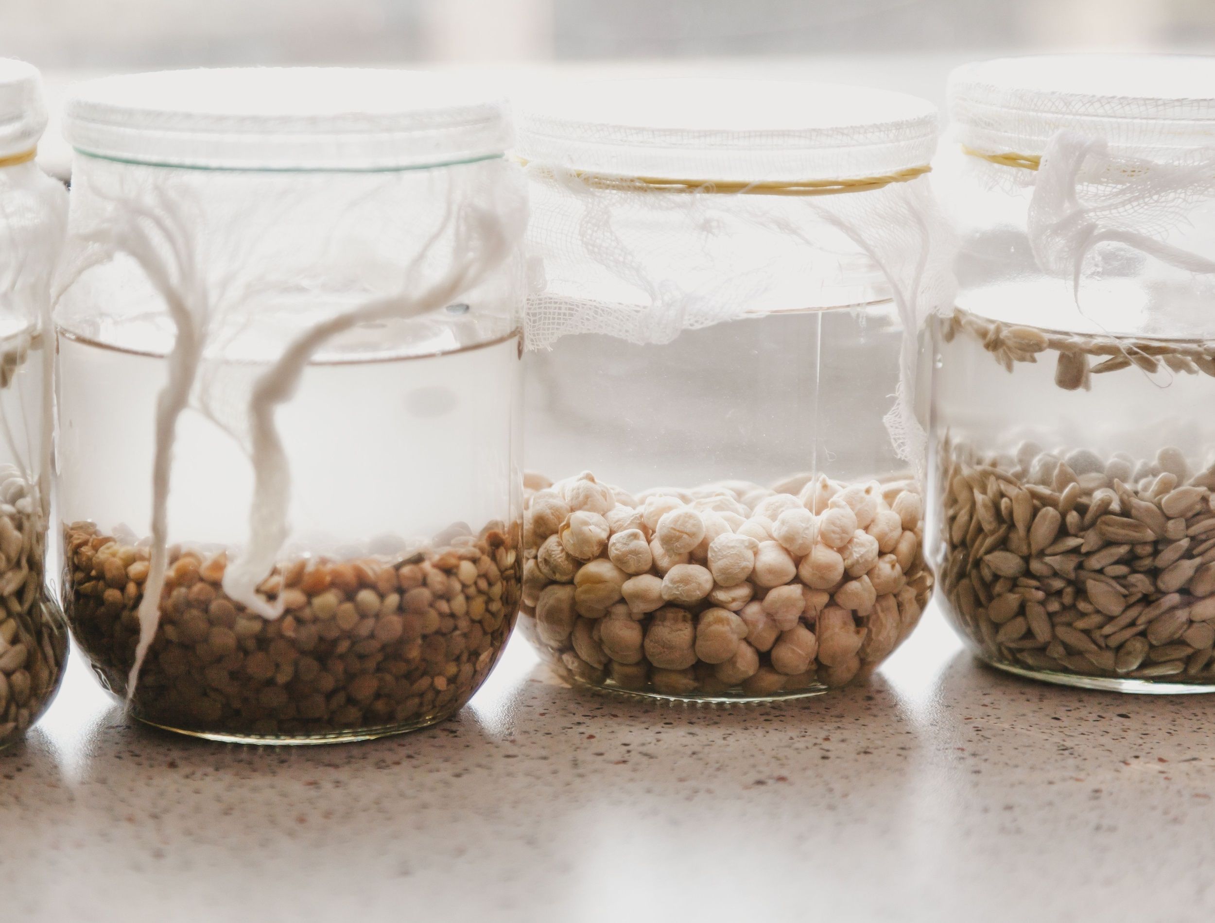5 Tips for Soaking Seeds Before Planting