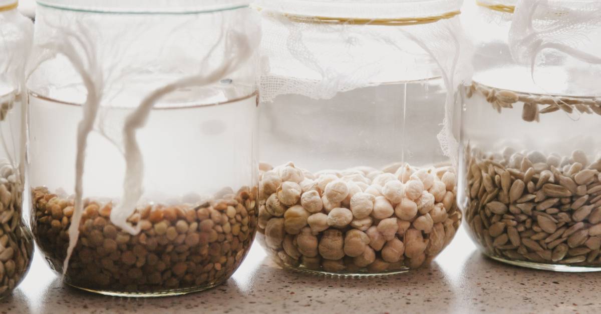 5 Tips for Soaking Seeds Before Planting