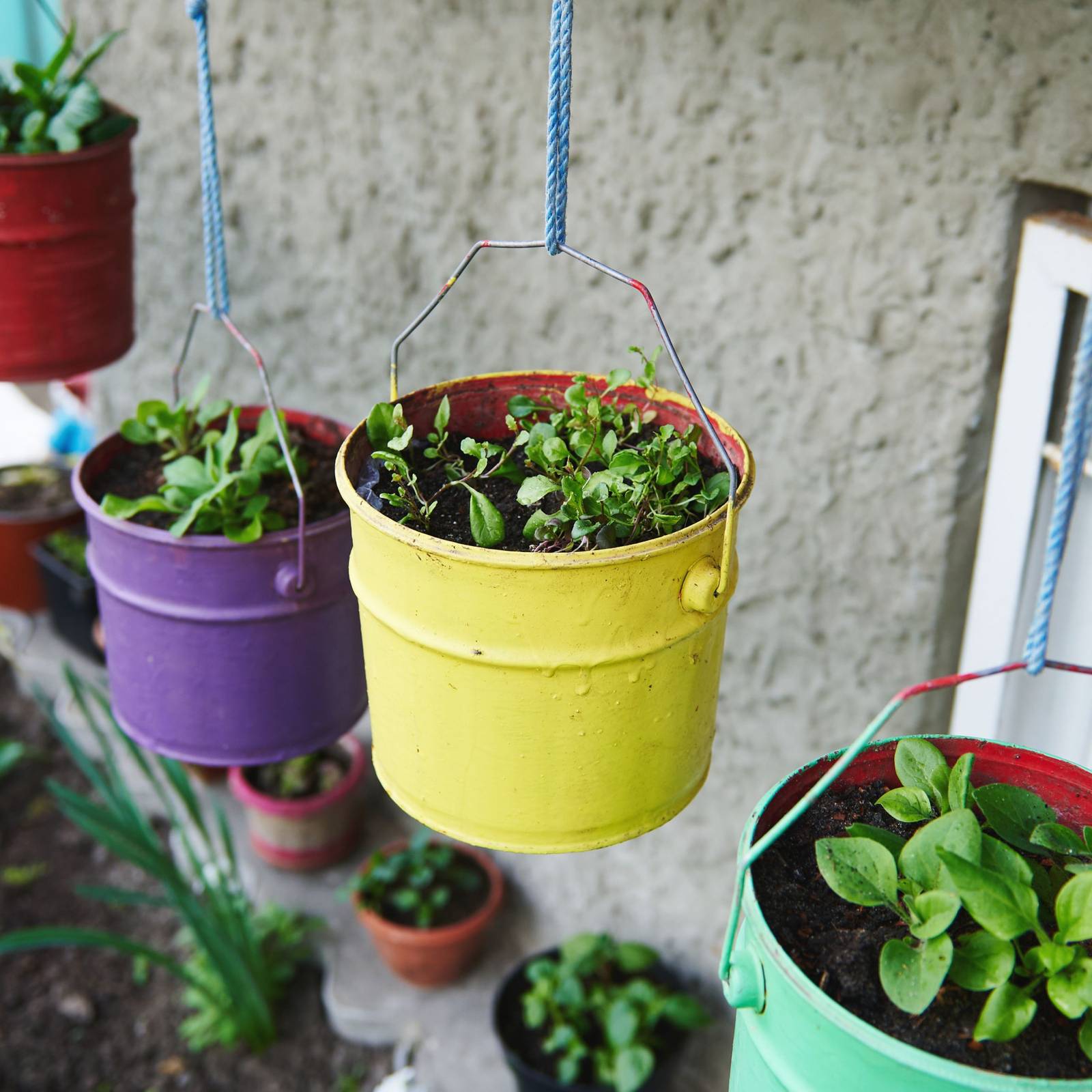 8 Hanging Vegetable Garden Ideas