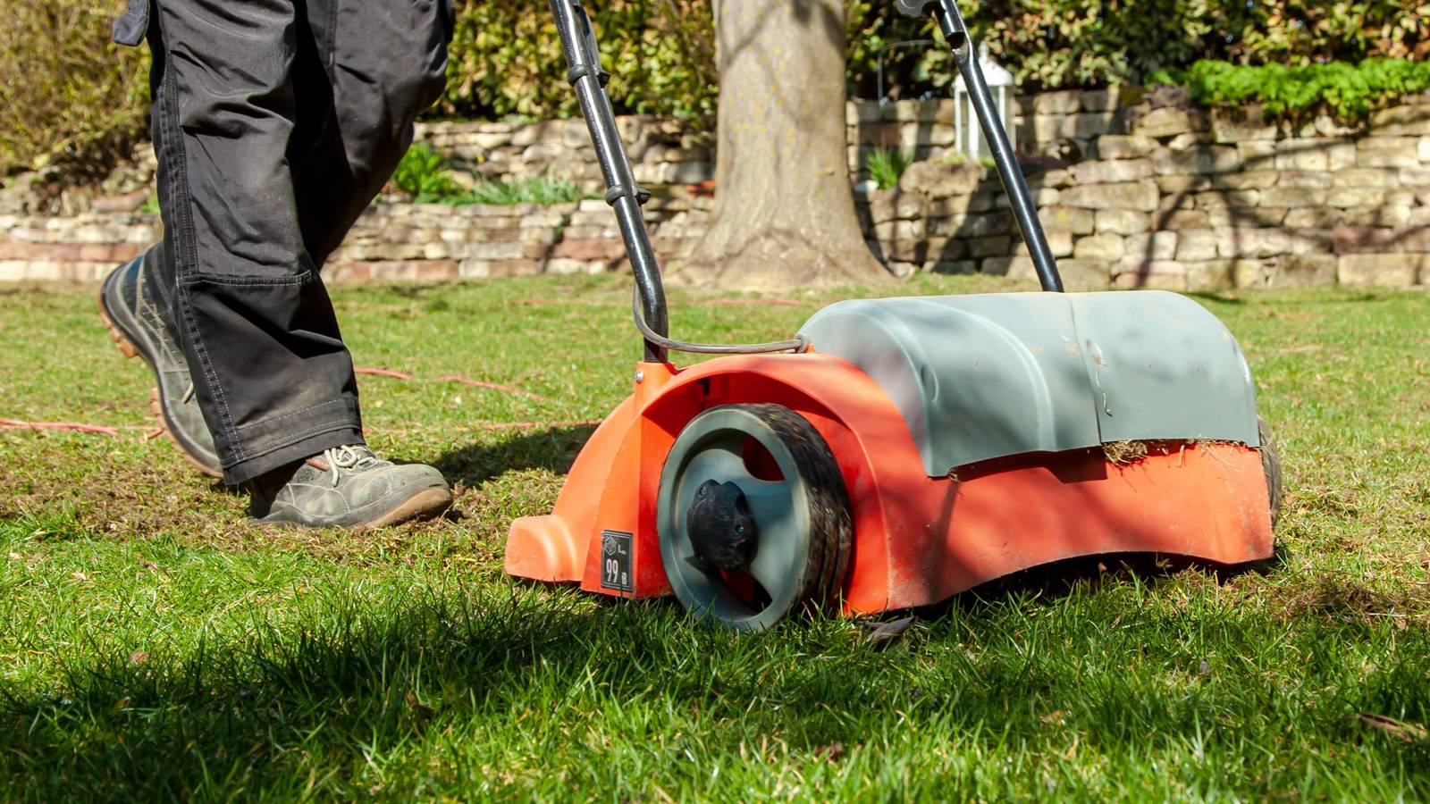 The Best Time to Aerate Your Lawn in Spring
