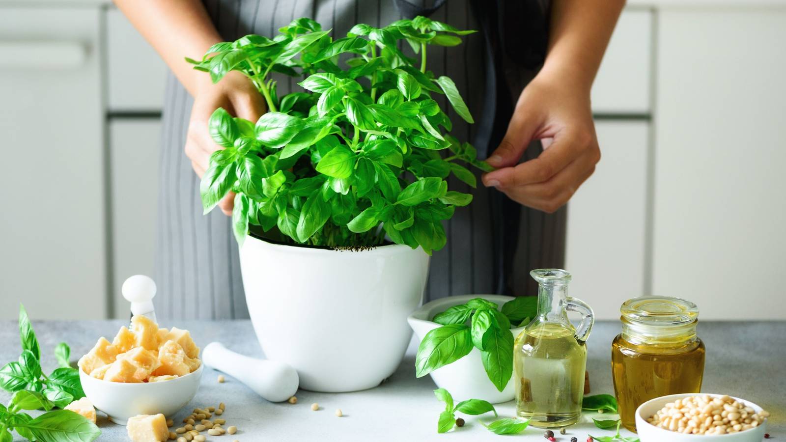 How to Store Fresh Basil