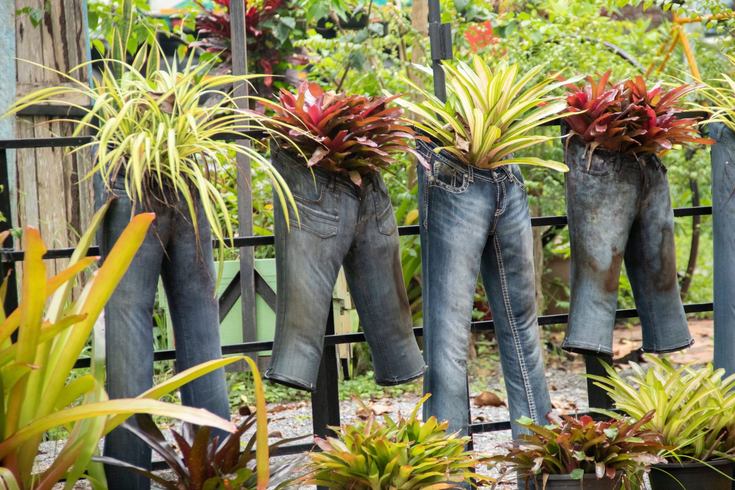 6 Ways to Reuse Old Clothes in Your Garden