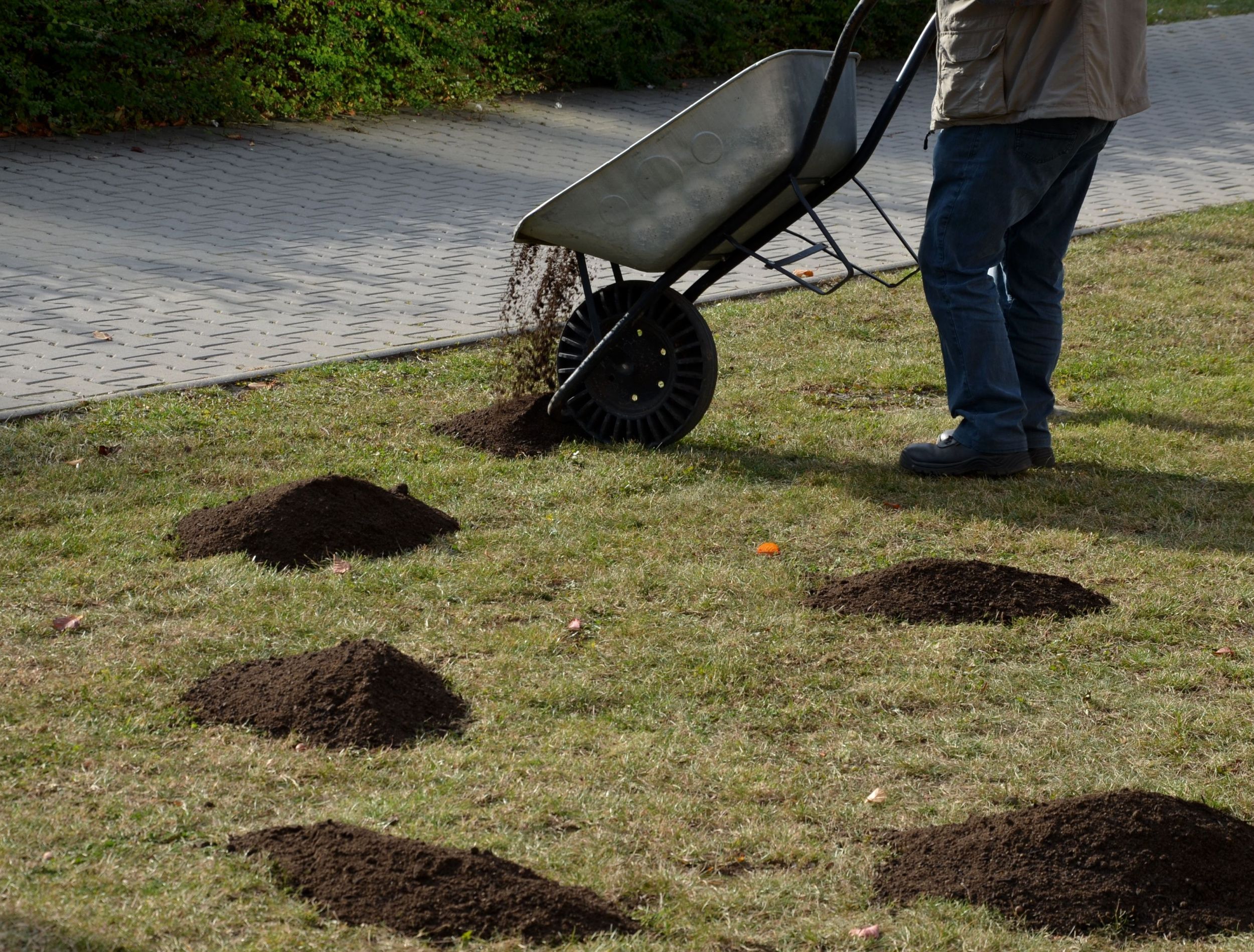navy blue dress for baby girl Lawn Renovation Tips: Top Dressing and Recovery main image 1