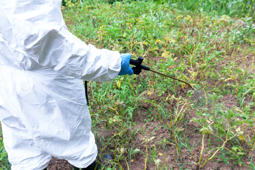 6 Ways to Get Rid of Gnats in Your Garden