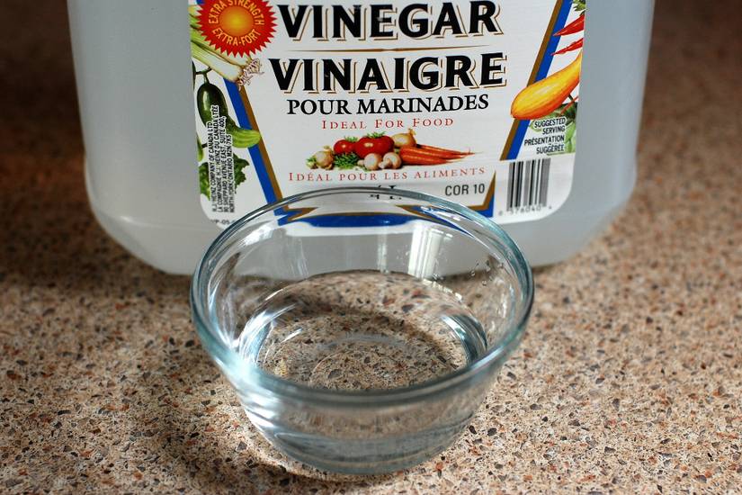 How to use vinegar to repel skunks from your yard or garden