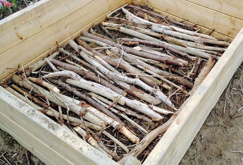 A Guide to Filling Raised Garden Beds