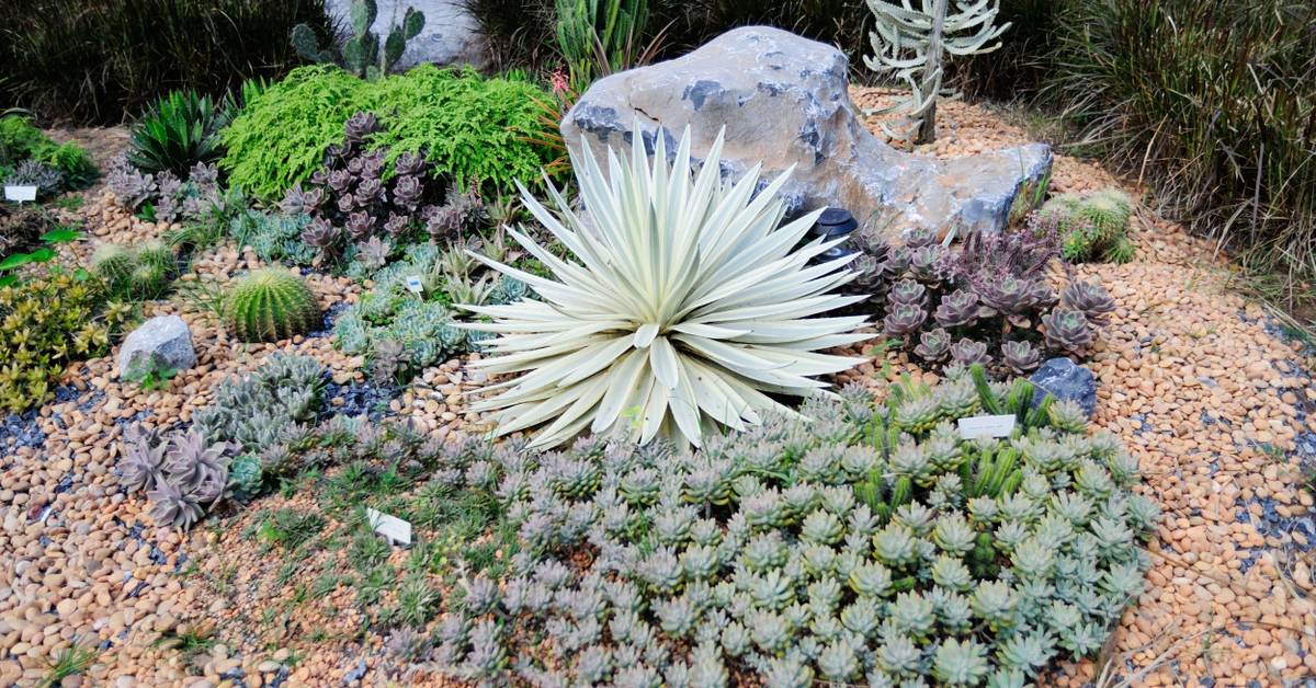 5 Stunning Rock Garden Ideas For Your Landscape