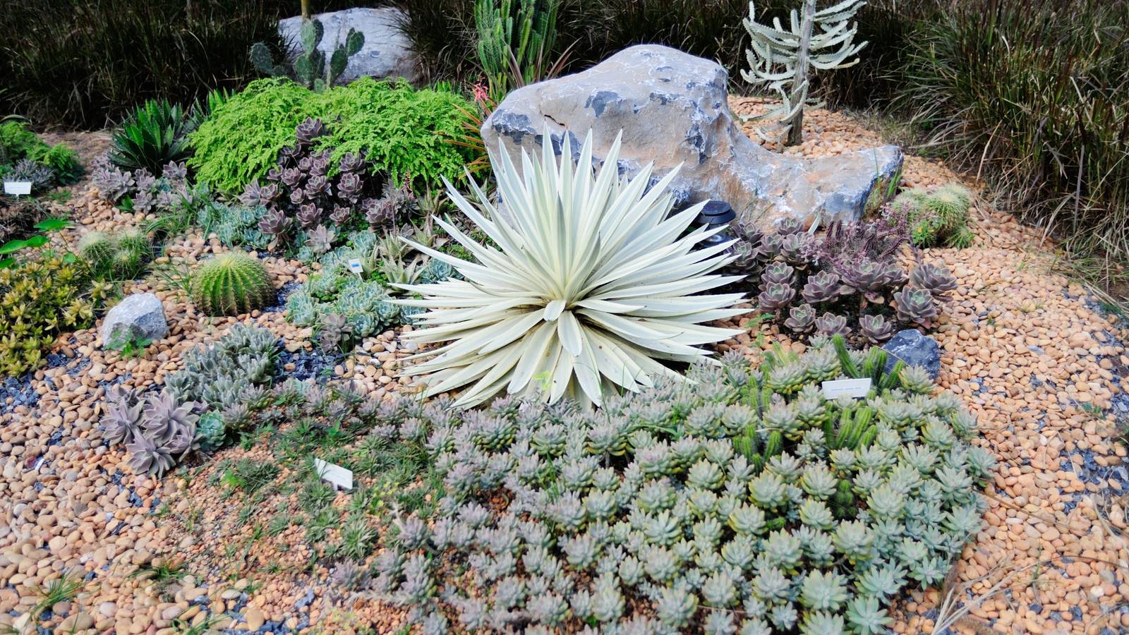 5 Stunning Rock Garden Ideas For Your Landscape