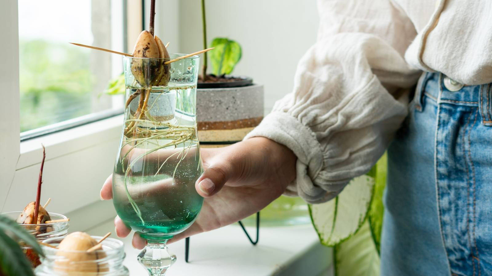 5 Fruits You Can Regrow From Scraps