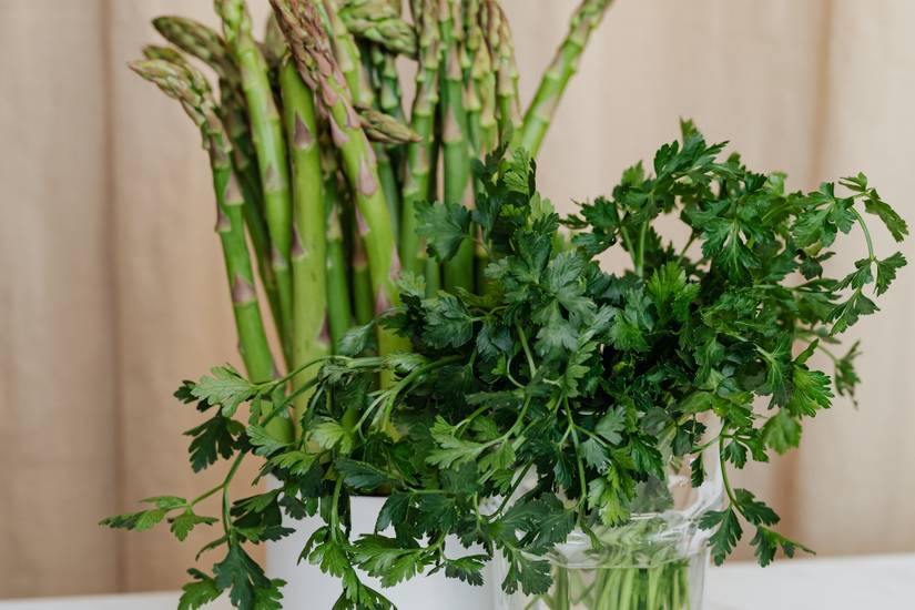 17 Plants You Should Always Grow Side-by-Side