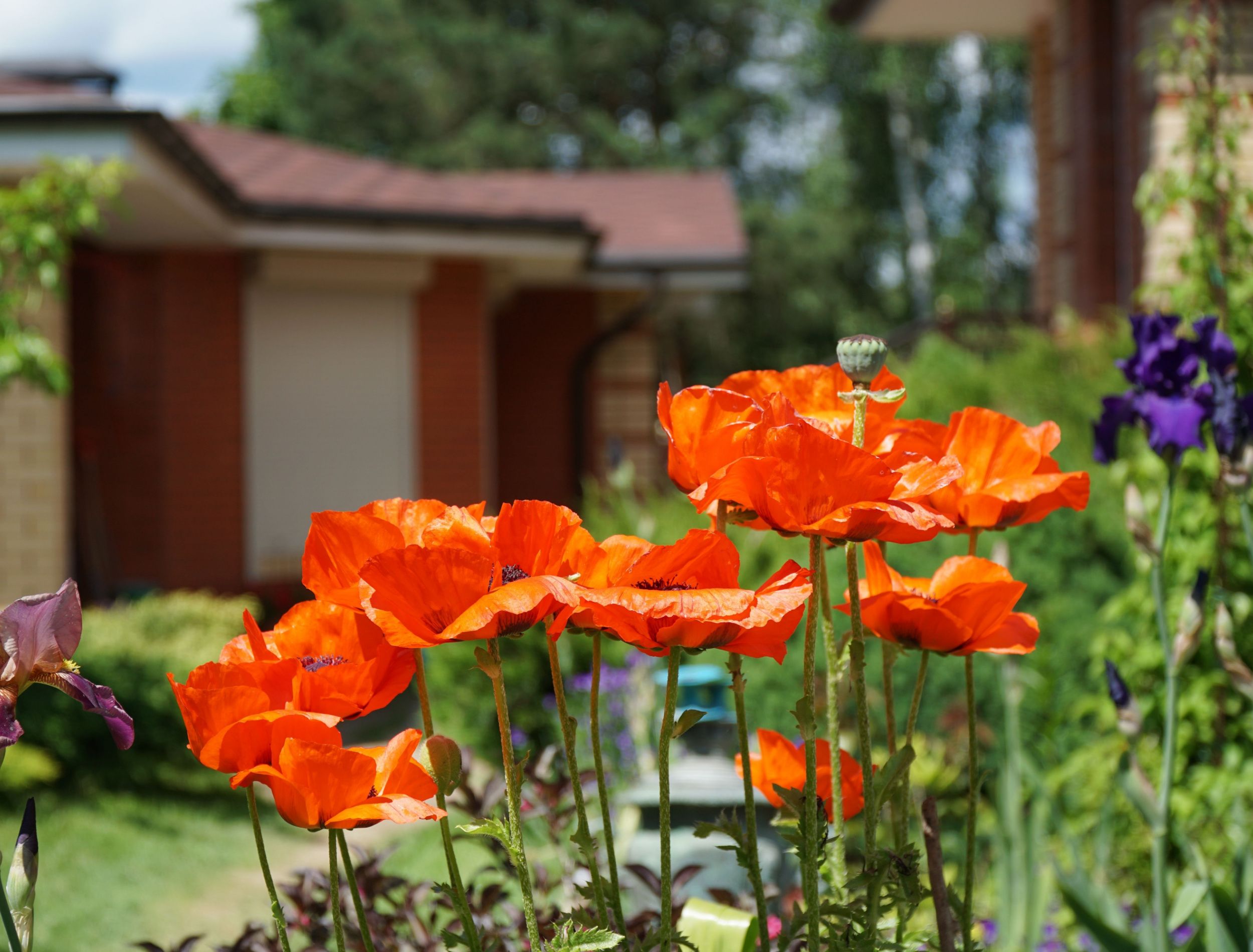 shutterstock_2169363499.jpg?w=