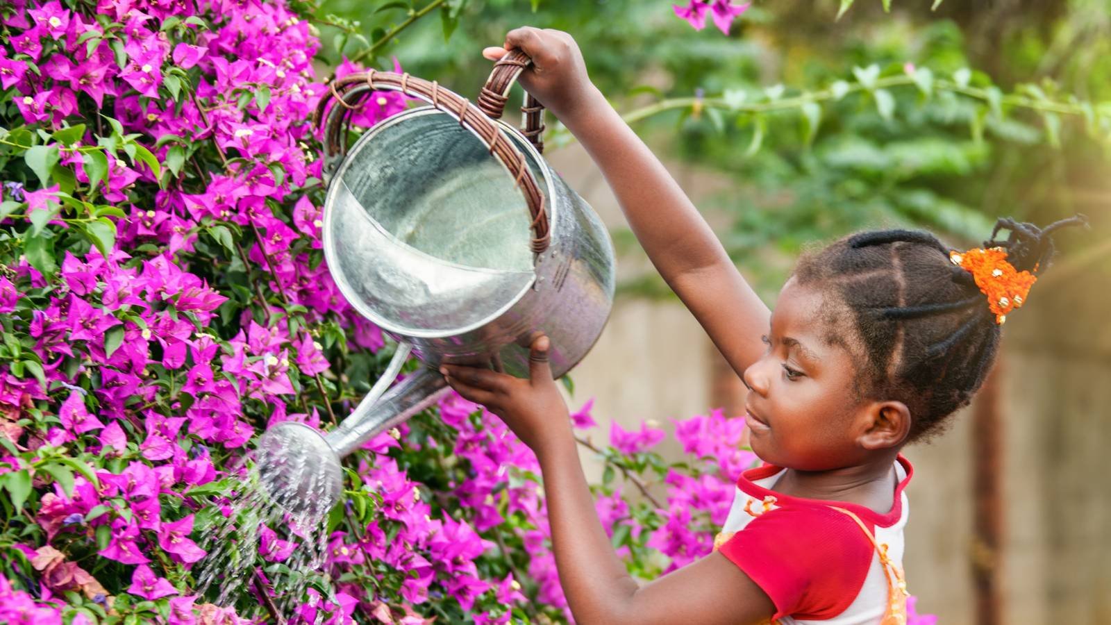 6 Ways to Water Your Garden Better