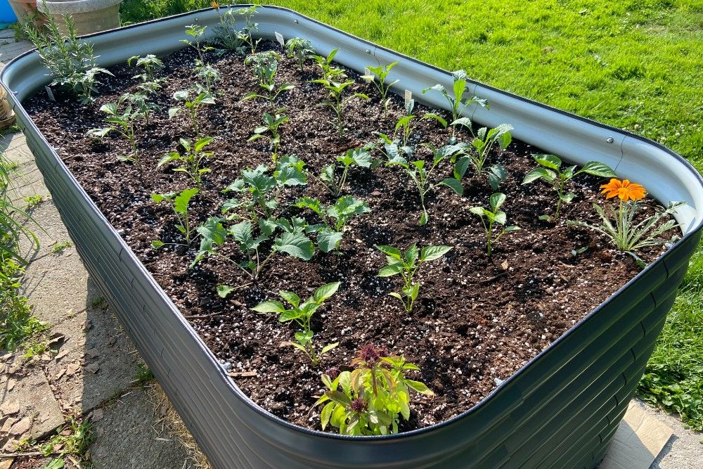 Vego Garden Review Elevate Your Garden Beds