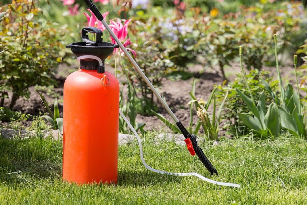 Why Your Lawn Is Turning Brown After Fertilizing