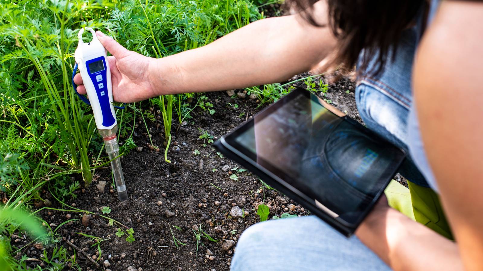 How Soil Moisture Meters and Soil pH Meters Help Improve Soil Testing How Soil Moisture Meters and Soil pH Meters Help Improve Soil Testing