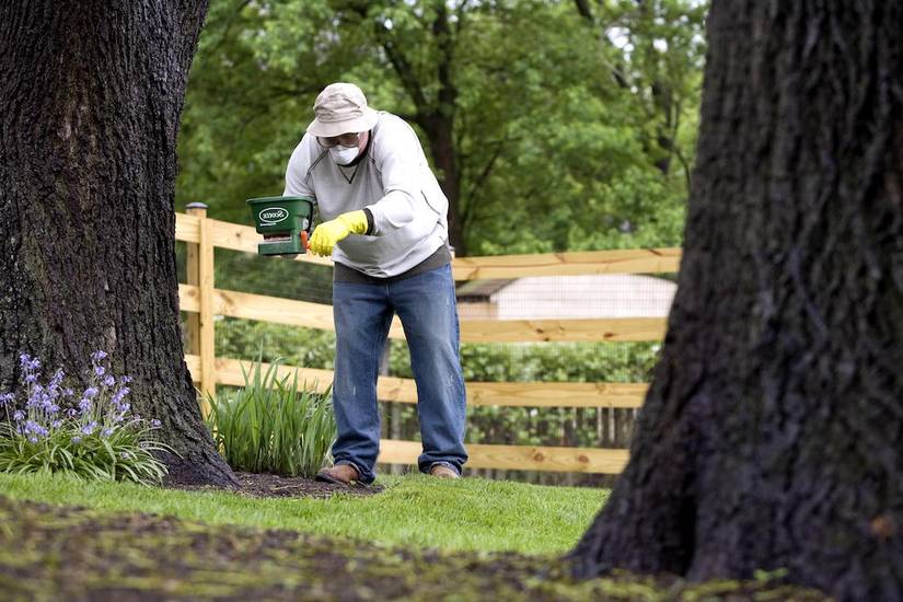 What's The Best Time of Day To Fertilize Your Plants?